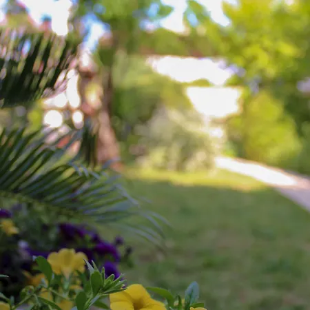 Hrabar Τρογκίρ